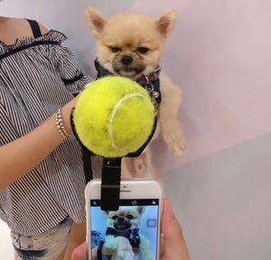 D-stick™ The Original Dog Selfie Stick