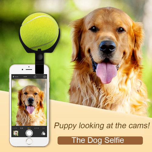 D-stick™ The Original Dog Selfie Stick