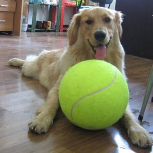 G-Ball™ The Giant Tennis Ball For Pet Chew 24CM